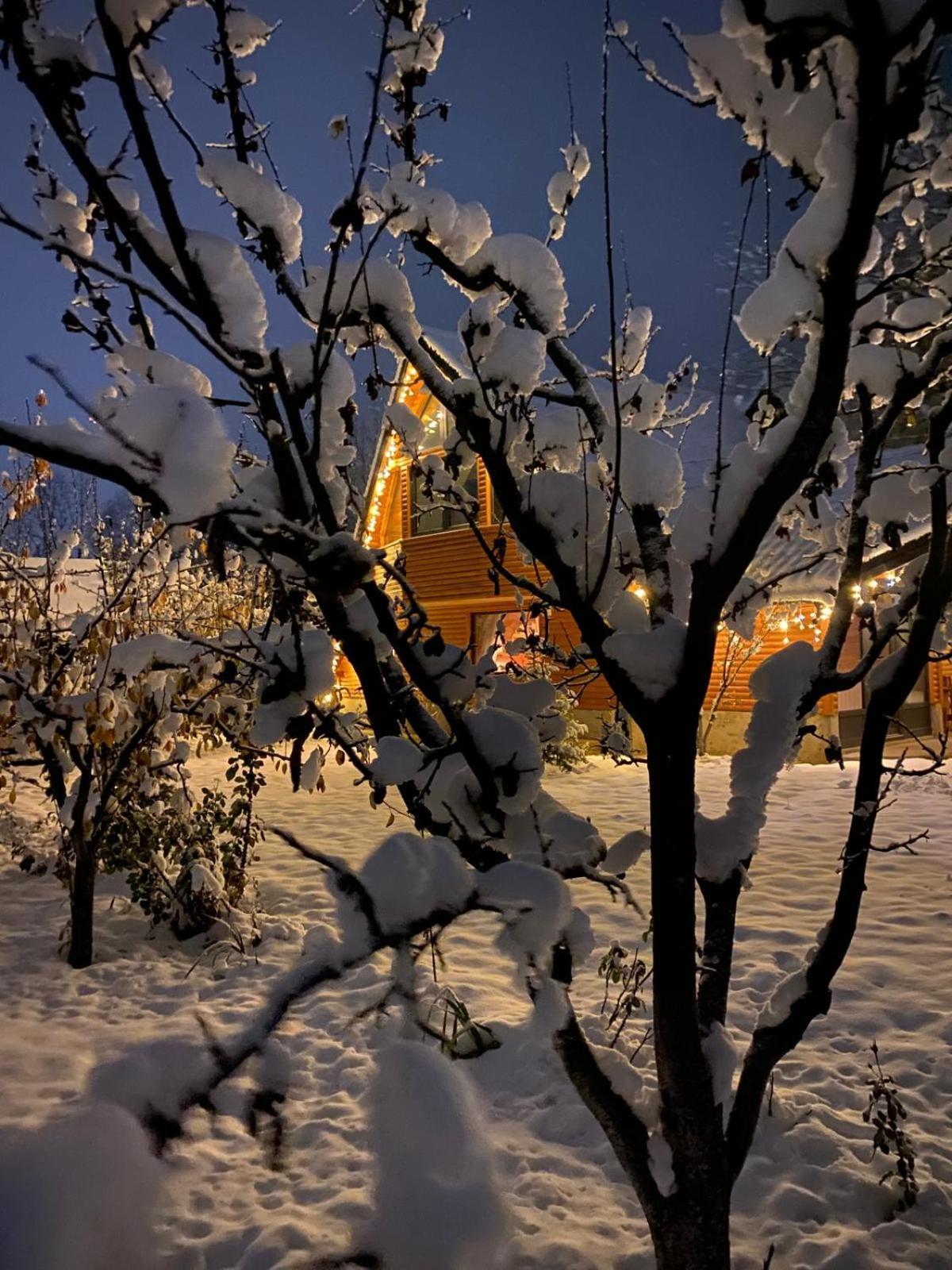 Moonlake Chalet Gainesti Exterior foto